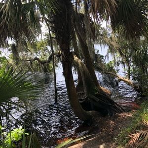 Meet your Posher, Kinsey